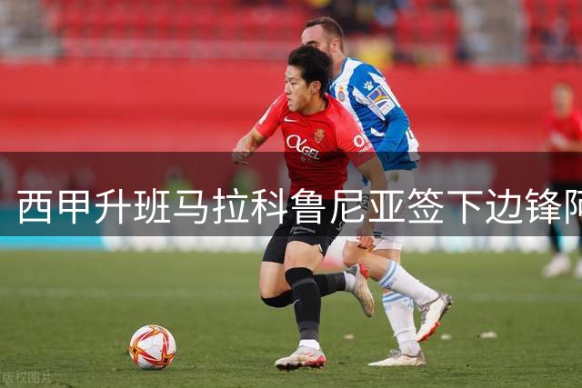 西甲升班马拉科鲁尼亚签下边锋阿达马·特拉奥雷
