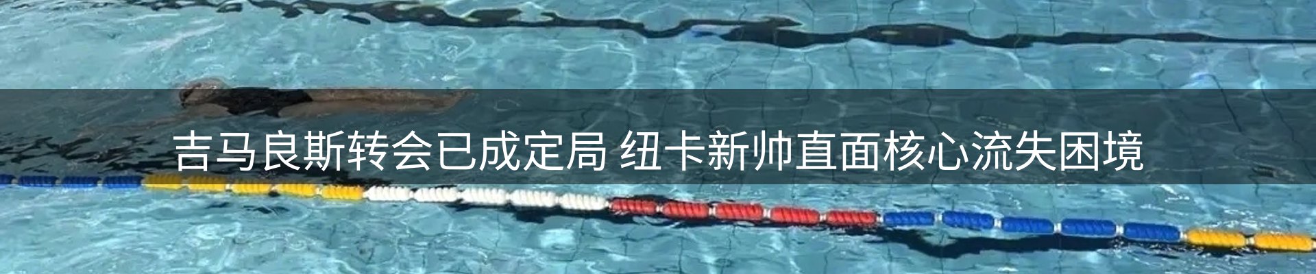 品牌资讯