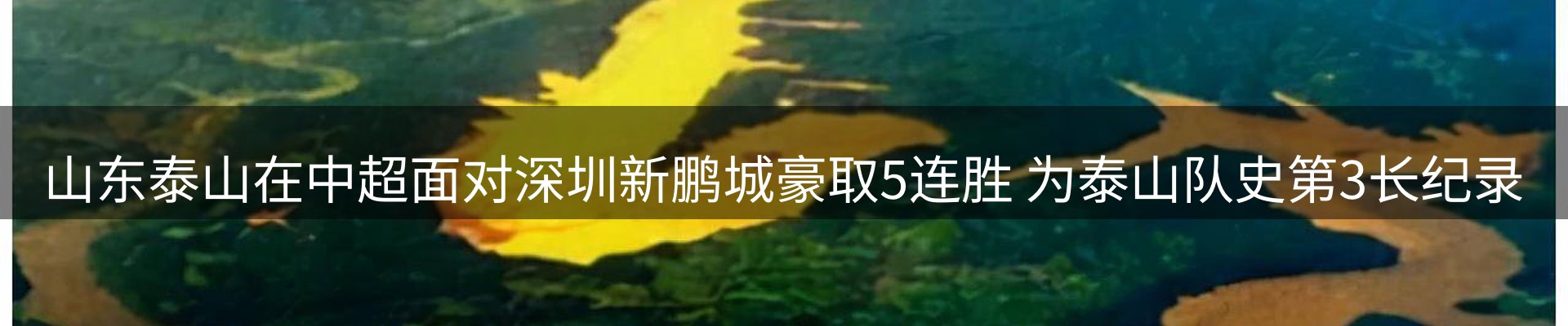 热门动态