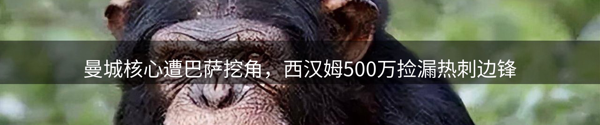品牌资讯