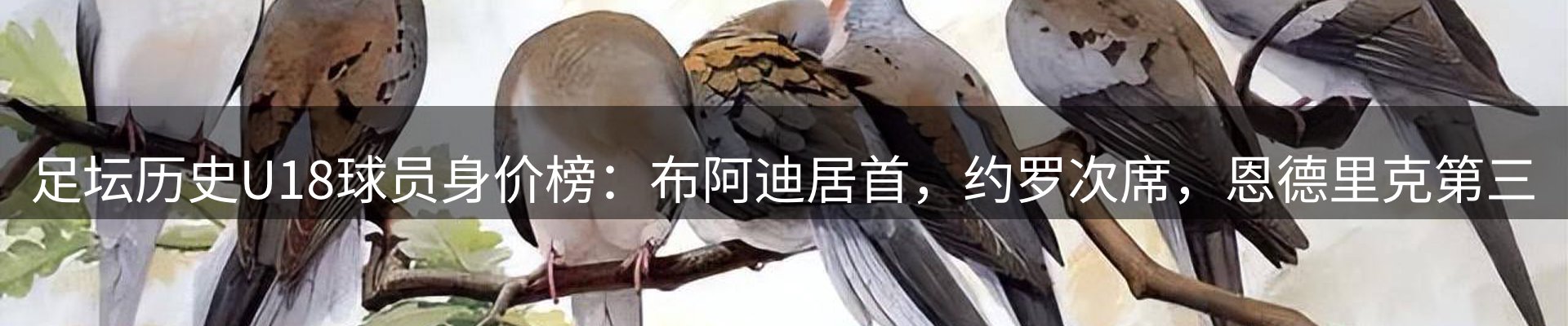品牌资讯